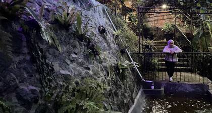 The Pinewood Lodge & Organic Farm