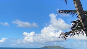 A beach with palm trees, clear blue sky, and calm sea.