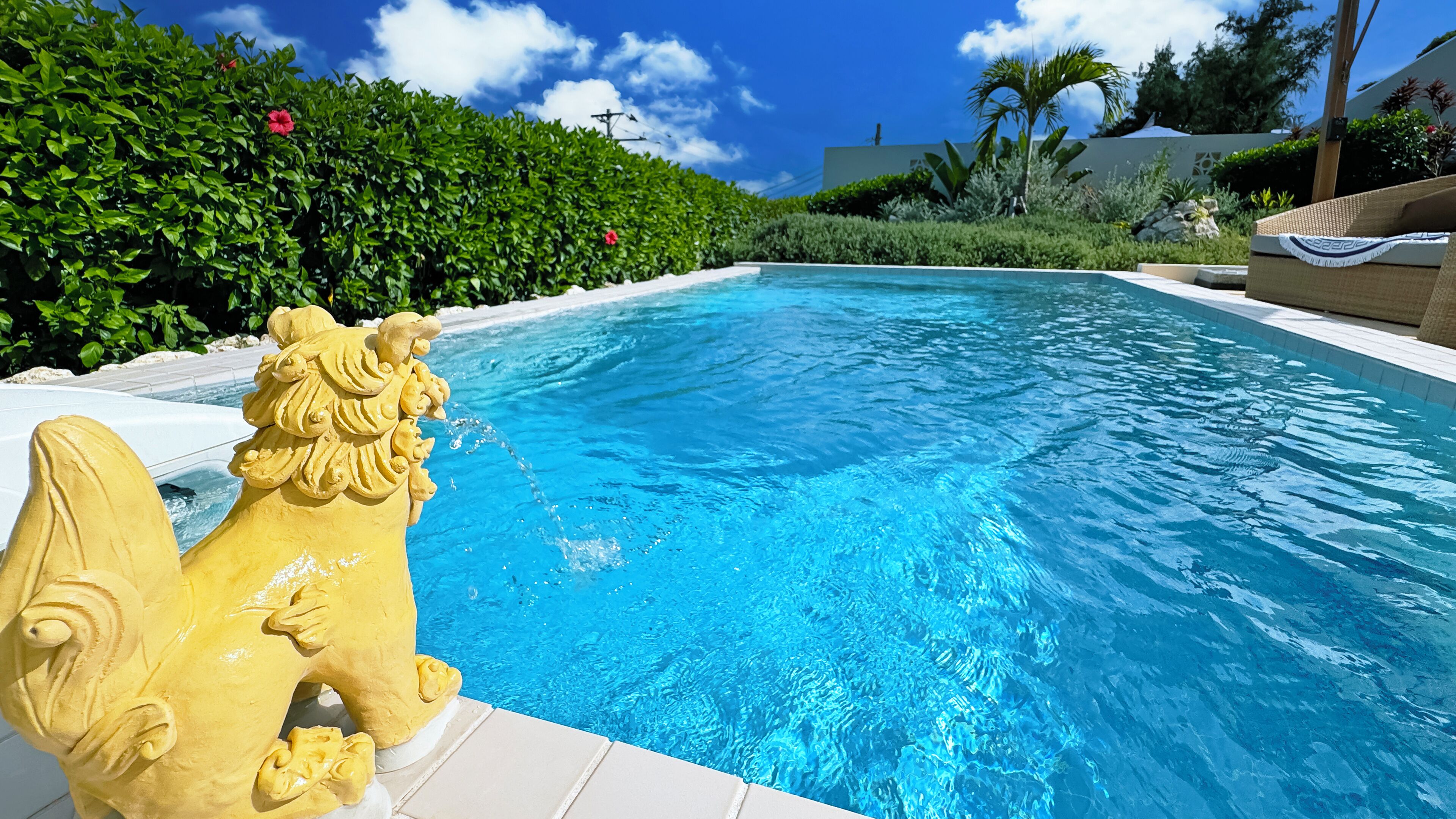A swimming pool with a decorative lion statue, surrounded by lush greenery and a clear blue sky.