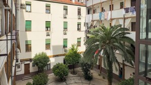 A courtyard with potted plants, a palm tree, and a circular fountain. - Apartment + Work Area in Retiro (Madrid)
