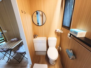 Shower, hair dryer, towels, shampoo
