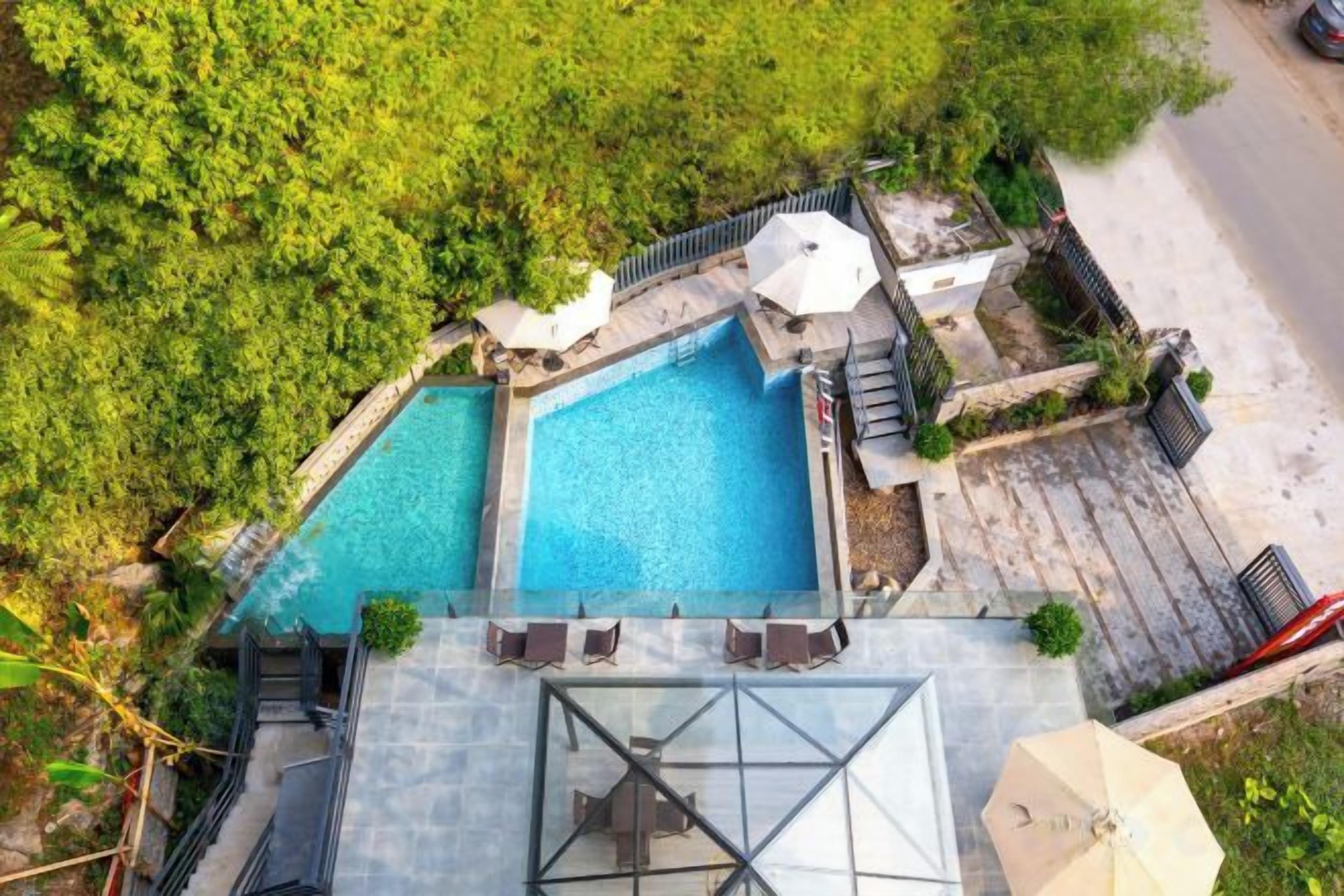 A rooftop swimming pool with a glass enclosure, surrounded by greenery and a paved deck.