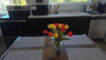 Een magnetron, een oven, een kookplaat, een vaatwasser