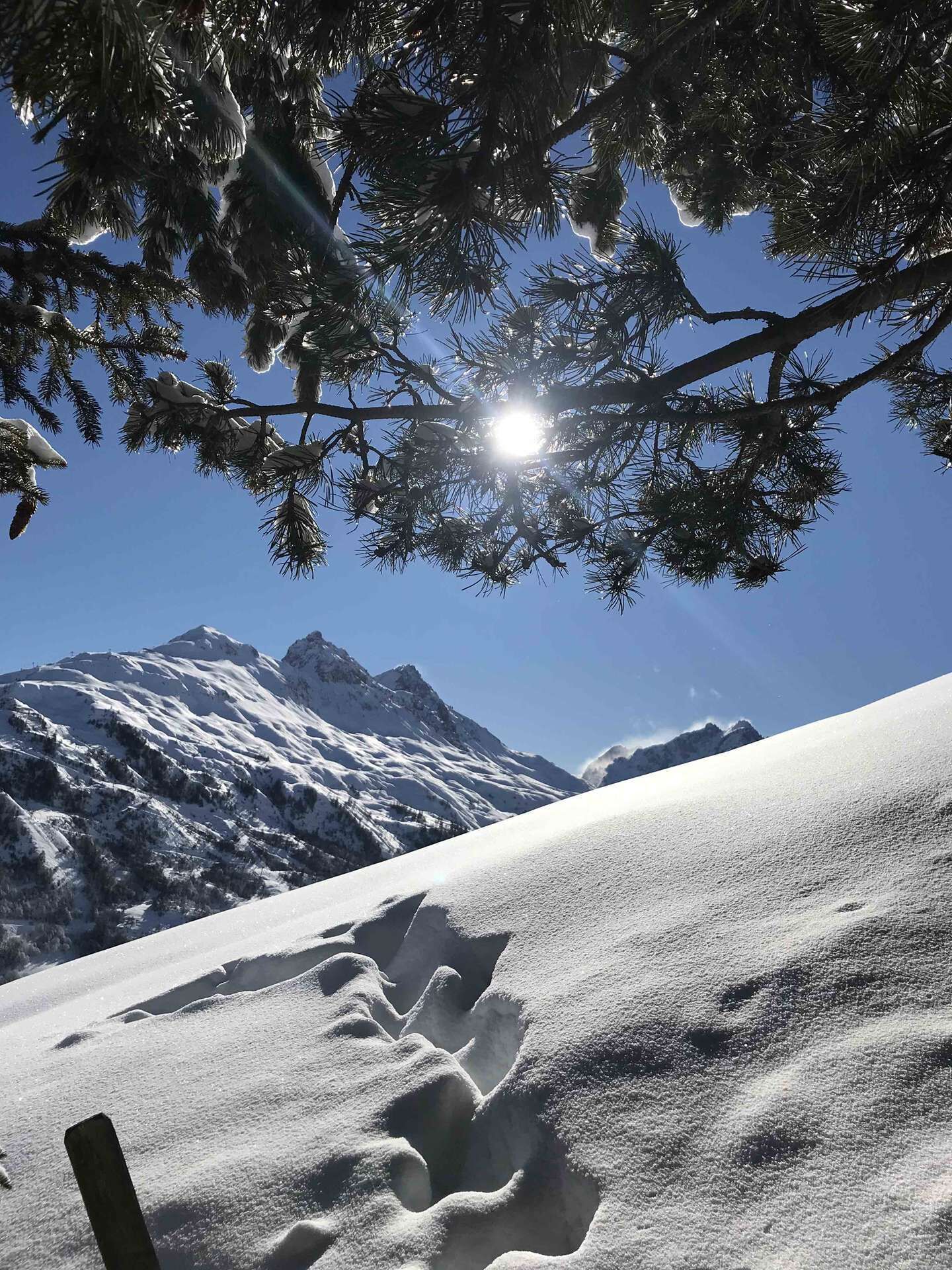 A snowy mountain landscape with a clear sky and sunlight filtering through tree branches.