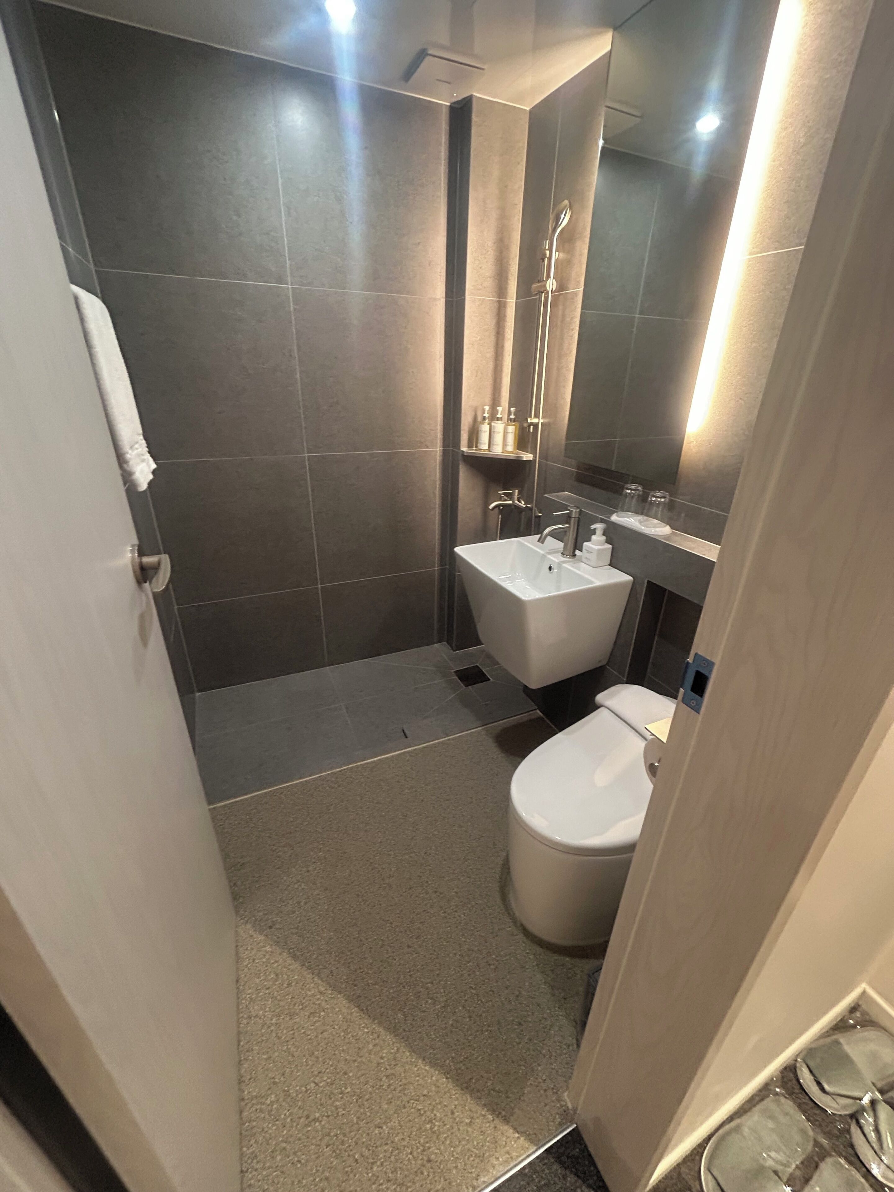 Un baño moderno con ducha, inodoro y lavamanos.