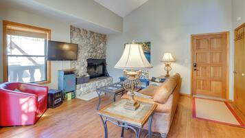 TV, fireplace, books