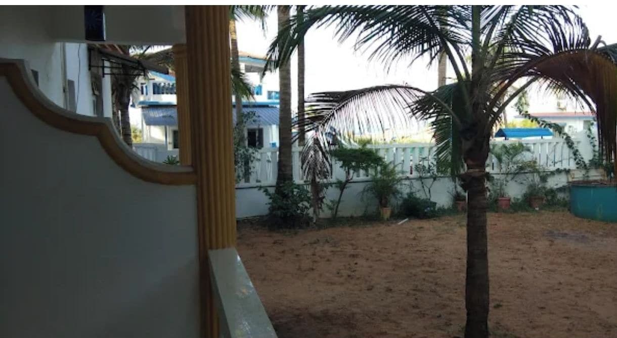 A sandy courtyard with a palm tree, a white wall, and a blue building in the background.