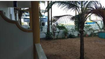 A sandy courtyard with a palm tree, a white wall, and a blue building in the background.