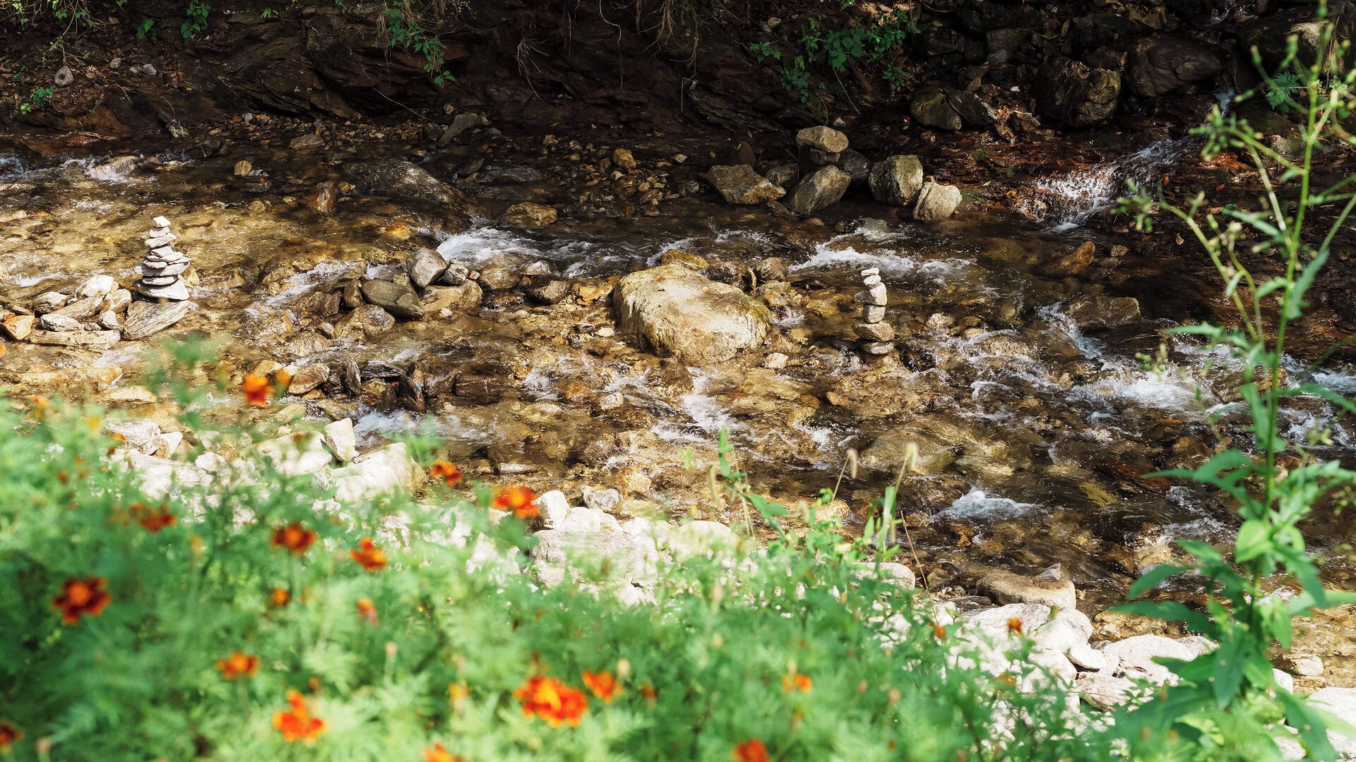 A natural stream with rocks and water, surrounded by greenery and red flowers.