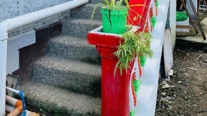 A staircase with red railings and green potted plants. - WJV INN CARCAR (Carcar)