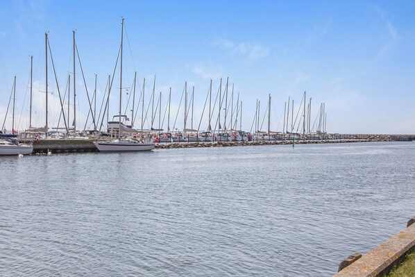 Marina