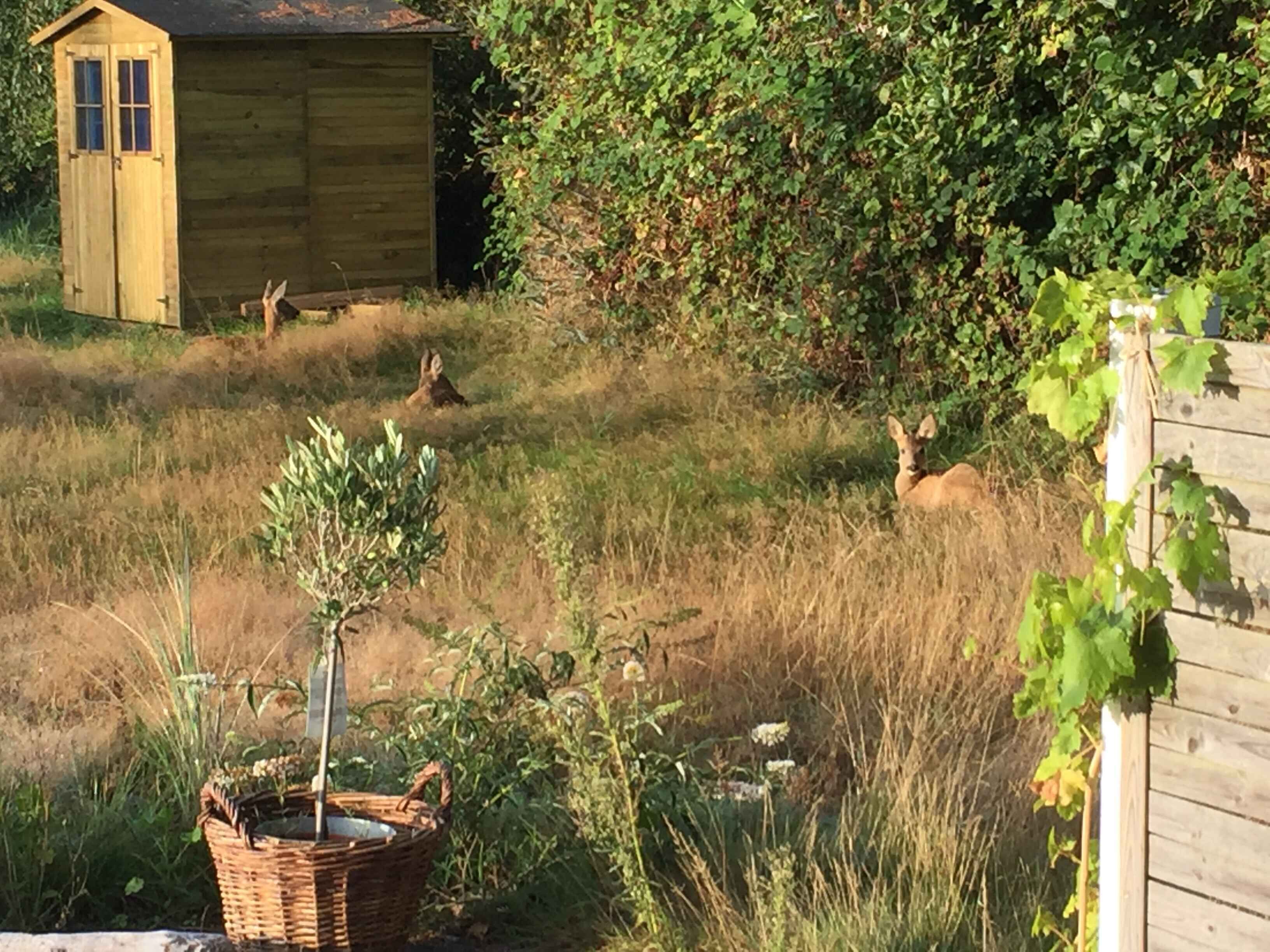 المنطقة المحيطة بالمنشأة