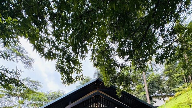 A pavilion with a red carpet leading to a door, surrounded by lush greenery and stone flooring. - Vayalada Garden resort (Koyilandy)