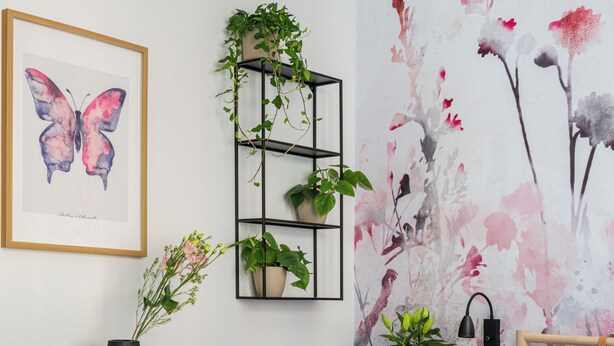 Un dormitorio con cama, mesita de noche, estante negro con plantas, una obra de arte con mariposas enmarcada y papel tapiz floral.