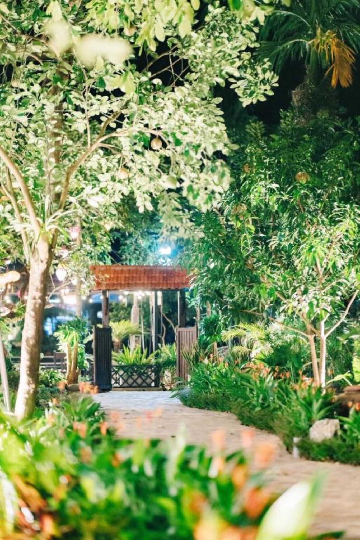 A pathway leading to a covered area surrounded by lush greenery and trees.