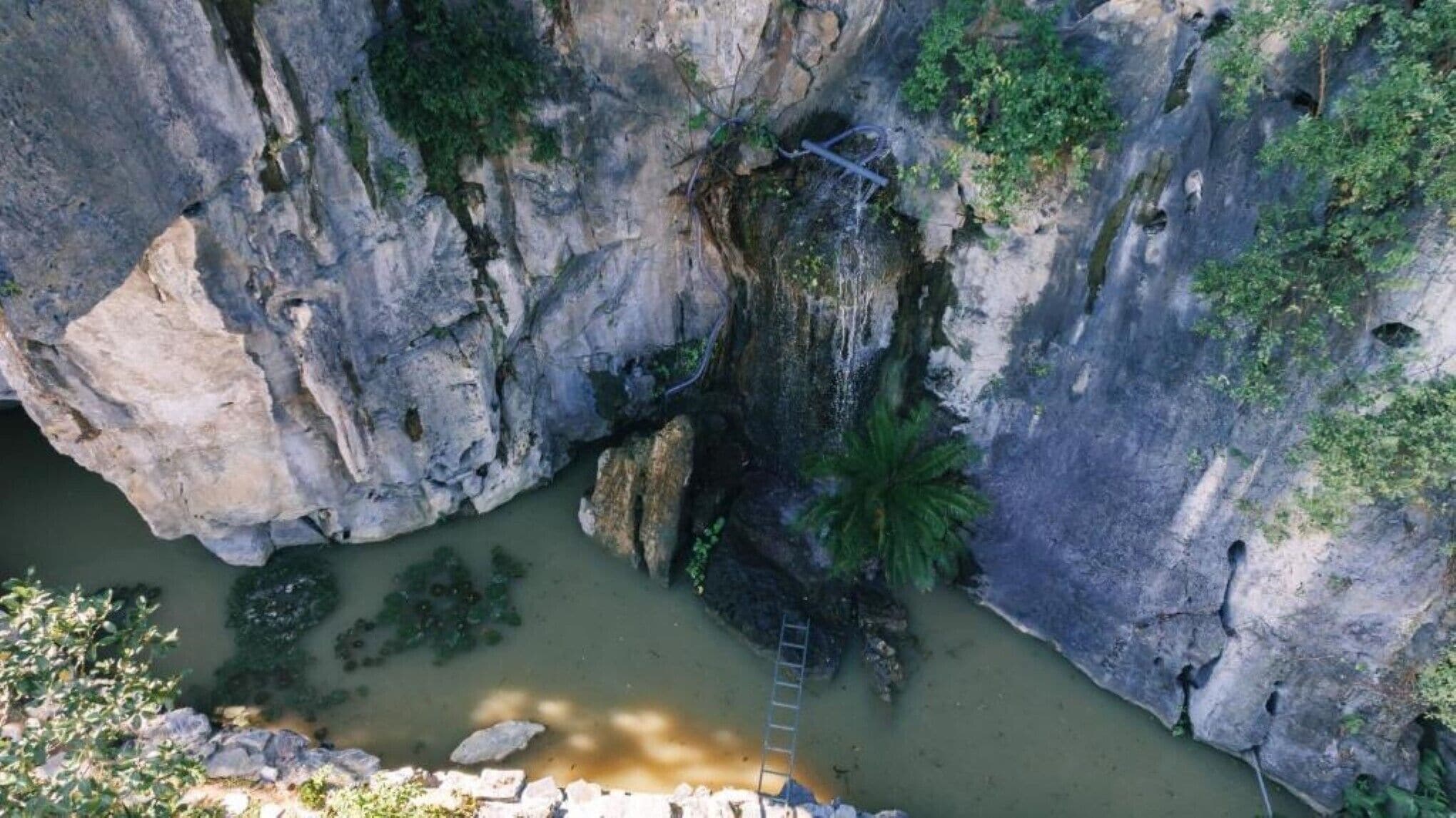 Eine schroffe Schlucht mit einem schmalen Wasserlauf, einer Leiter und einer Palme.