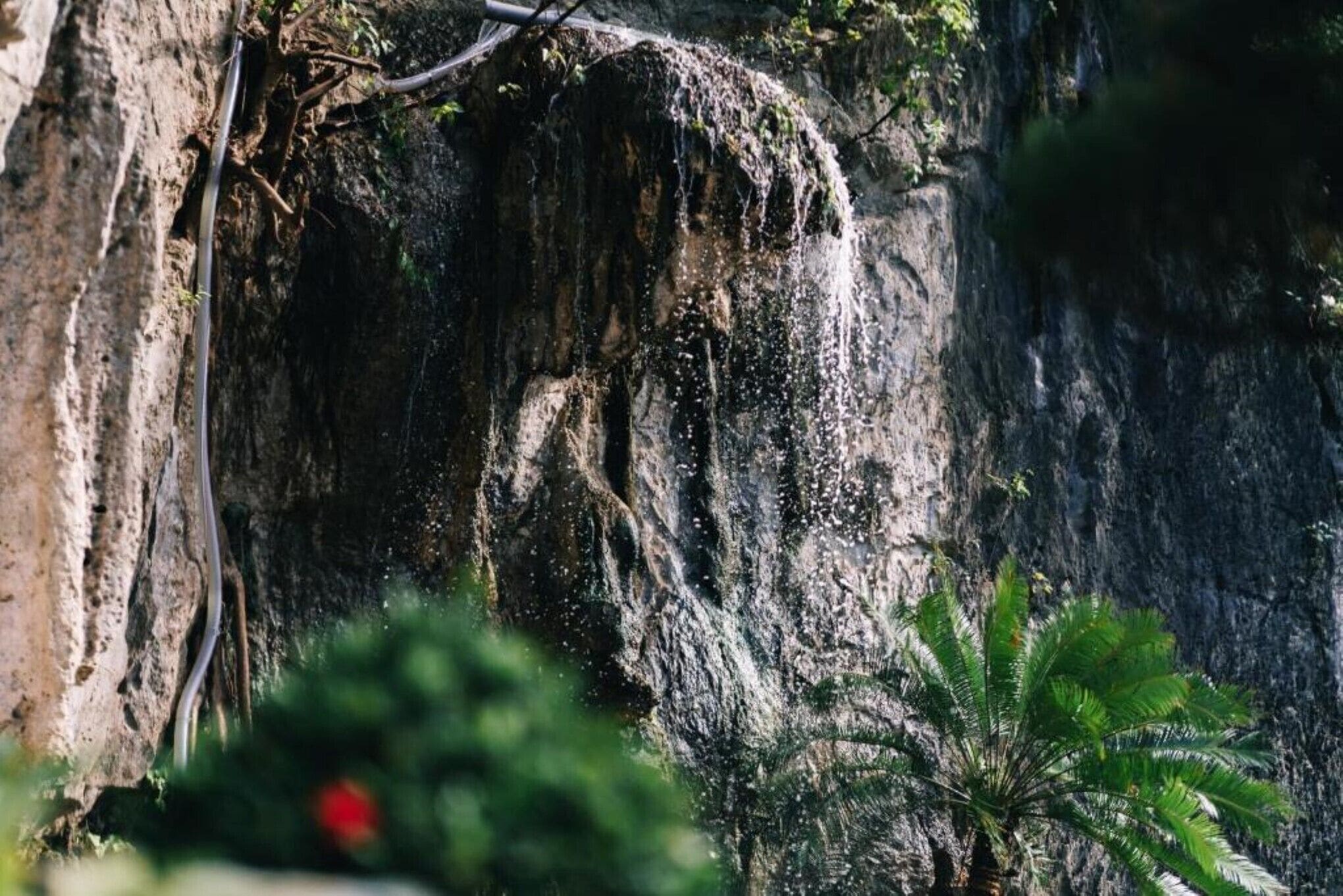 Une formation rocheuse naturelle avec une cascade et un petit palmier au premier plan.