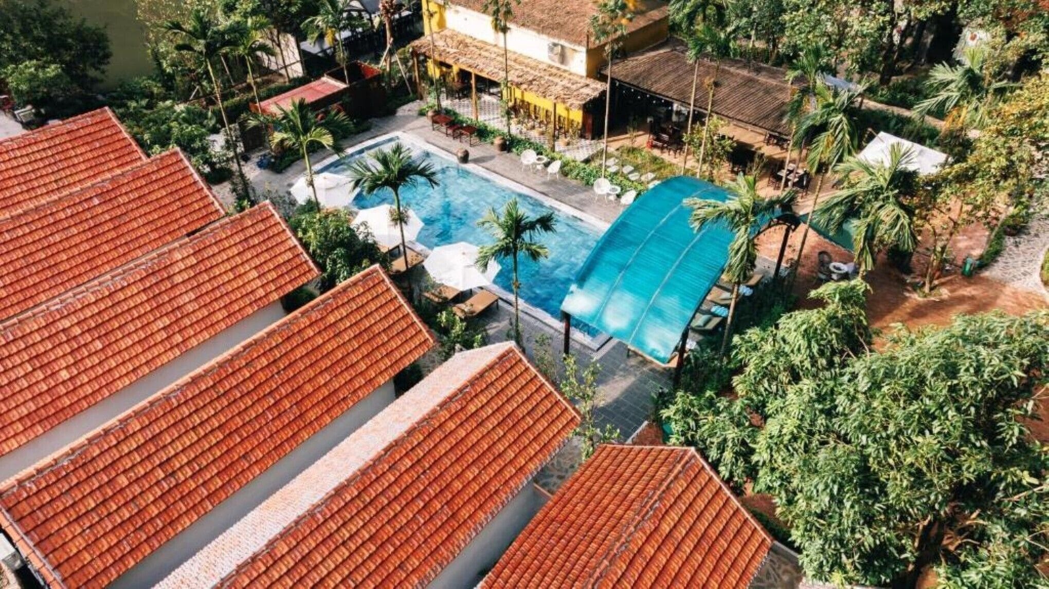 Ein Pool auf dem Dach, umgeben von Palmen und roten Ziegeldächern.