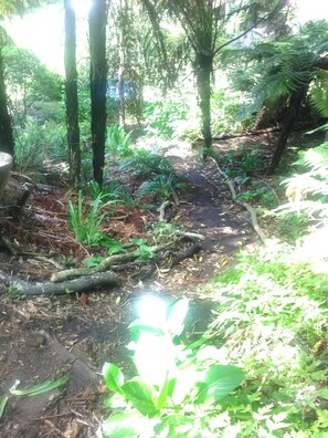 House, 1 Bedroom, Smoking, Patio | Garden - Escape to Tranquility in Rotorua's Heart (Rotorua)