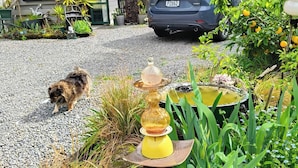 Exterior - Escape to Tranquility in Rotorua's Heart (Rotorua)