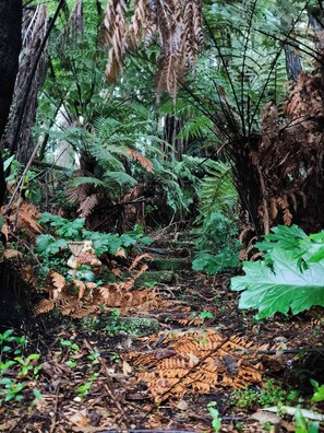 Casa, 1 habitación, para fumadores, patio | Detalle exterior