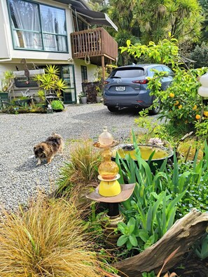 House, 1 Bedroom, Smoking, Patio | Garden