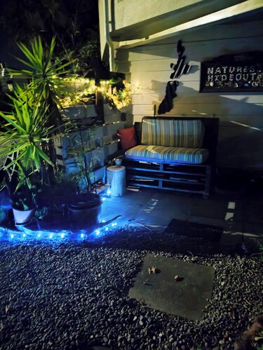 Escape to Tranquility in Rotorua's Heart