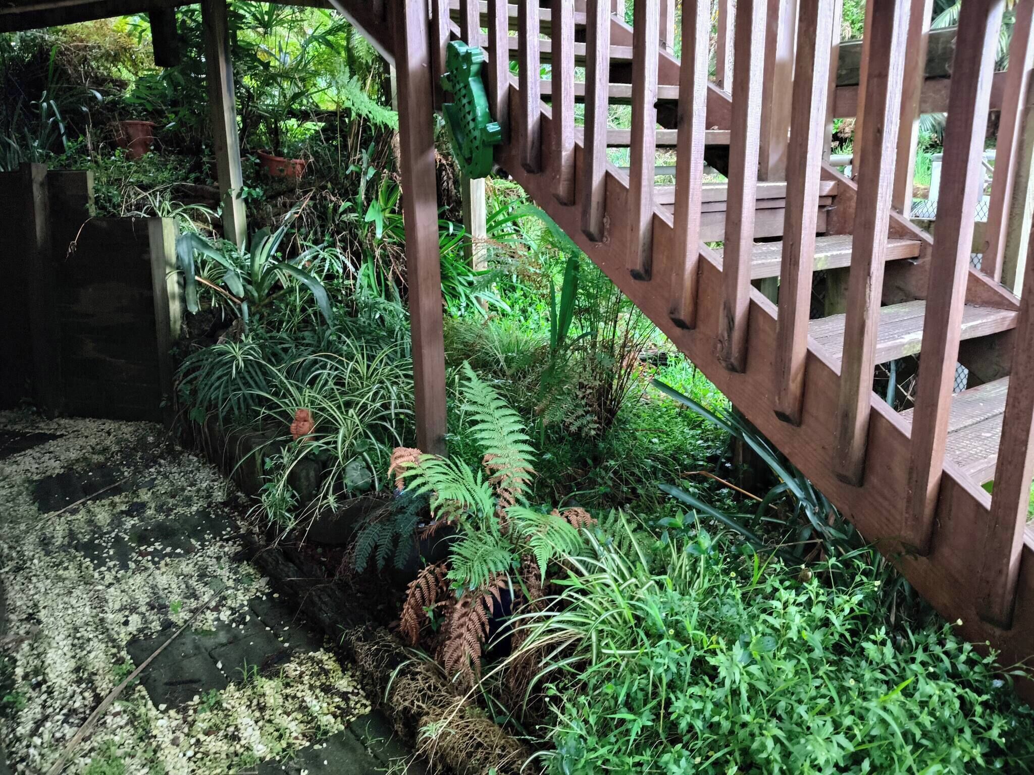 House, 1 Bedroom, Smoking, Patio | Garden