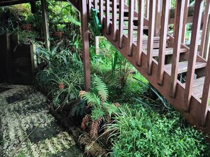 House, 1 Bedroom, Smoking, Patio | Garden - Escape to Tranquility in Rotorua's Heart (Rotorua)