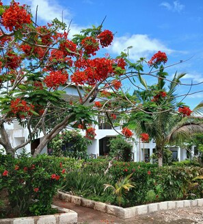 Exterior - Double Room - Garden View (Nungwi)