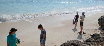 One -Bedroom Apartment - Garden View