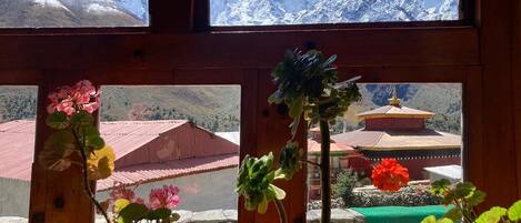 A view through a window with a wooden frame, potted plants, and a glimpse of a building with a red roof and a structure with a golden roof.