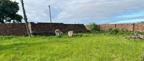 المنطقة المحيطة بالمنشأة