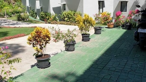 Une rangée de bâtiments blancs aux toits rouges, disposés en ligne. Des plantes en pot et un scooter sont garés devant les bâtiments.