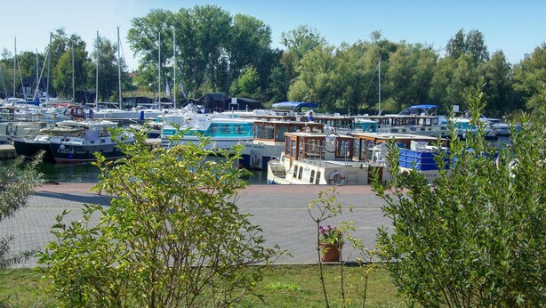A marina with various boats docked, surrounded by trees and greenery.