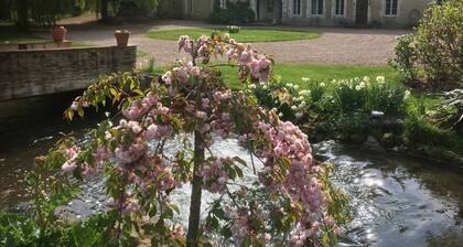 Mongolian Yurt set in beautiful gardens with private kitchen/bathroom & jacuzzi