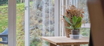 Small oasis near coast and town