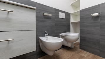 Shower, hair dryer, bidet, towels