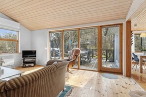 TV a schermo piatto, lettore DVD