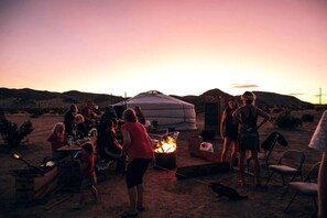 Property grounds - Cute Stargazing Yurt near Joshua Tree National Park, California (Twentynine Palms)