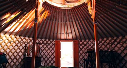 Cute Stargazing Yurt near Joshua Tree National Park, California