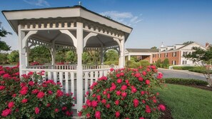 Terrain de l’hébergement 