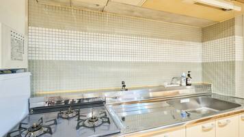 Basic-Apartment, Nichtraucher, Stadtblick (802) | Eigene Küche | Großer Kühlschrank, Mikrowelle, Herdplatte