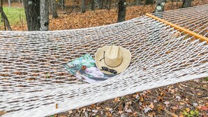 Una hamaca en un bosque con un sombrero y gafas de sol.