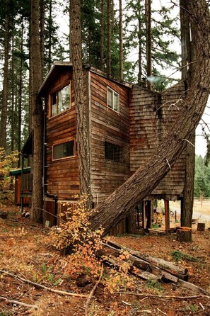 Exterior - Tree House Style Cabin Nestled at the Foot of Scenic Snow-Capped Mt. Adams, Washington (White Salmon)