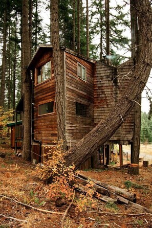 Exterior - Tree House Style Cabin Nestled at the Foot of Scenic Snow-Capped Mt. Adams, Washington (White Salmon)