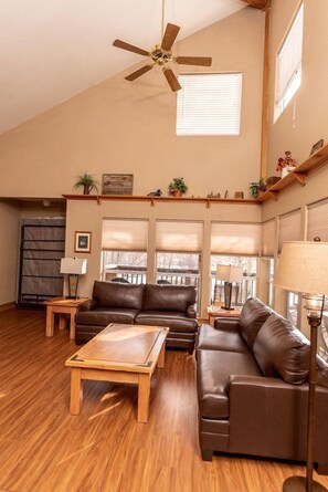 TV, fireplace, DVD player