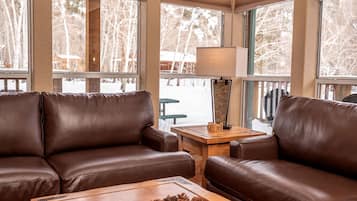 Télévision, cheminée, lecteur de DVD