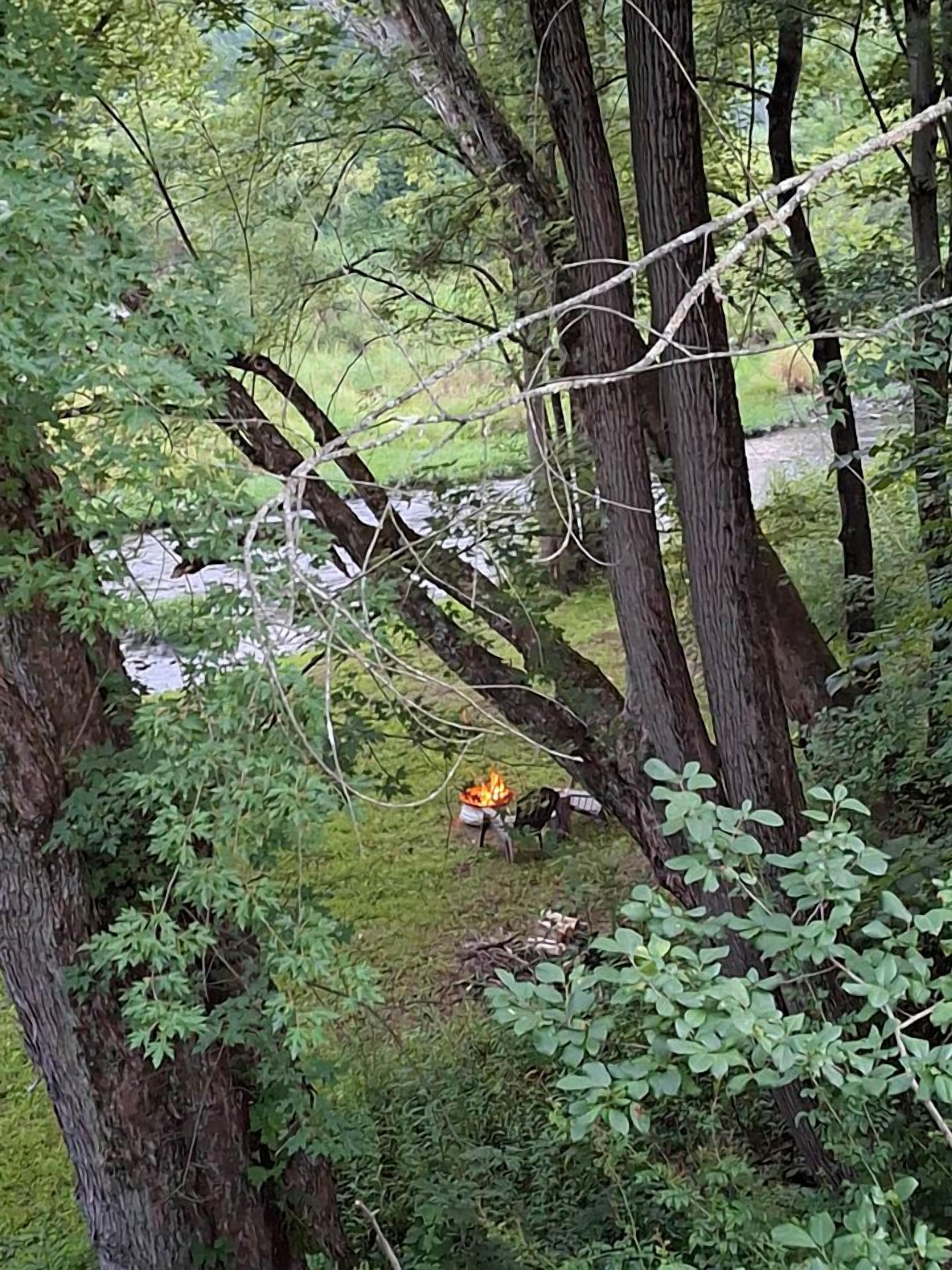 A forested area with a campfire.