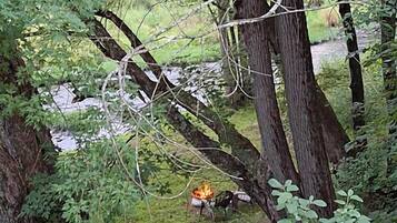 A forested area with a campfire.